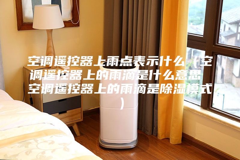 空調遙控器上雨點表示什么（空調遙控器上的雨滴是什么意思 空調遙控器上的雨滴是除濕模式）
