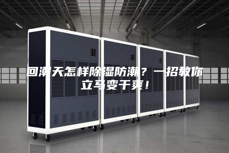 回潮天怎樣除濕防潮？一招教你立馬變干爽！